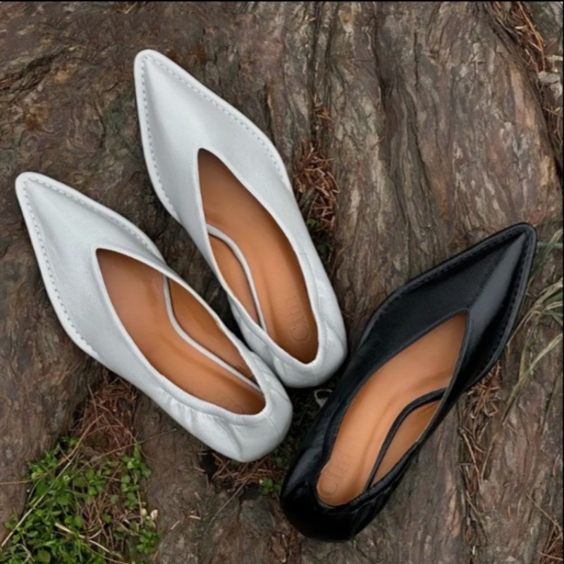 2025 New Pointed Toe Single Sh - Embroidery Flat Shoes reseña y precio