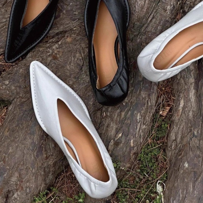 2025 New Pointed Toe Single Sh - Embroidery Flat Shoes reseña y precio